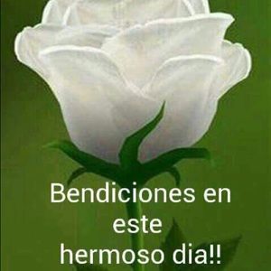 Meet your Posher, Lupe